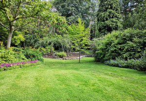 Optimiser l'expérience du jardin à Beauvoir-Wavans